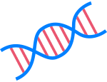 Test DNA
